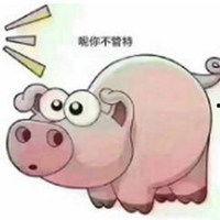 猪吃食图片搞笑,猪吃食的欢乐瞬间