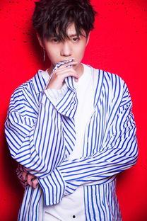 刘家麟演员背景,从影视新星到实力派演员的蜕变之路