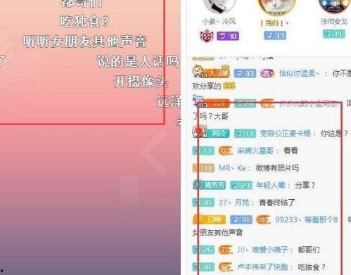 远洋君网红,揭秘网红背后的远航人生