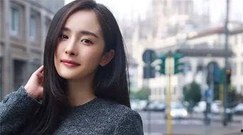 娱乐圈女电视剧,娱乐圈女明星的辉煌之路